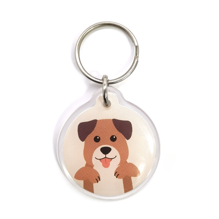 Resin RFID NFC Tags Pet ID Dogs Tracking Customized 13.56Mhz RFID Animal Tags