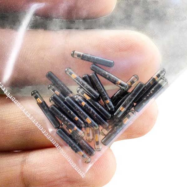 Glass Capsule Pet Microchips 125-134.2Khz LF RFID Tags